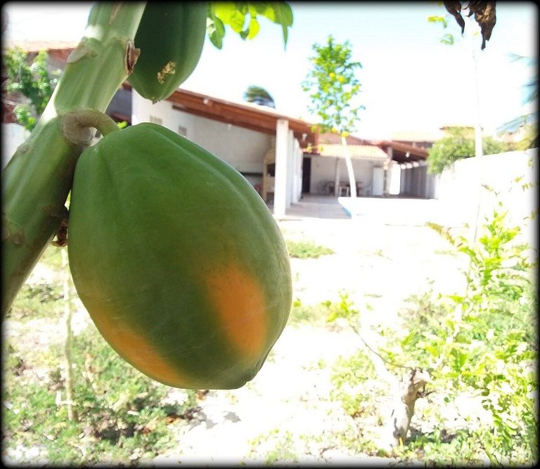 Casa Centrinho da Taíba