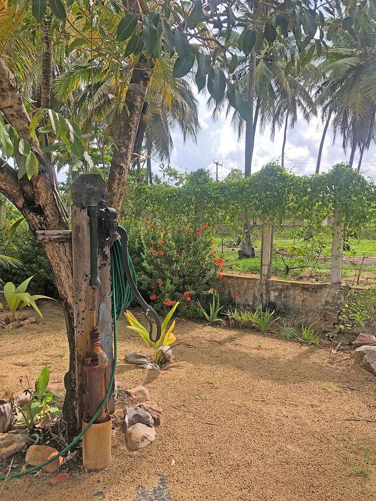 Casinha aconchegante para quem gosta de tranquilidade e natu