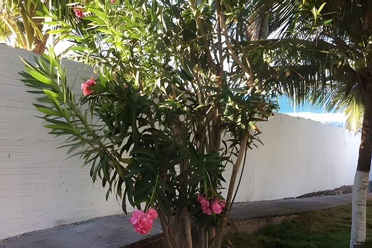 Casa pé na areia com piscina no Centro da Taíba